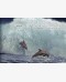 Декоративна мазилка Mavericks